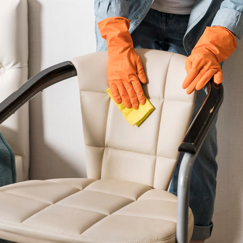 Furniture Cleaning